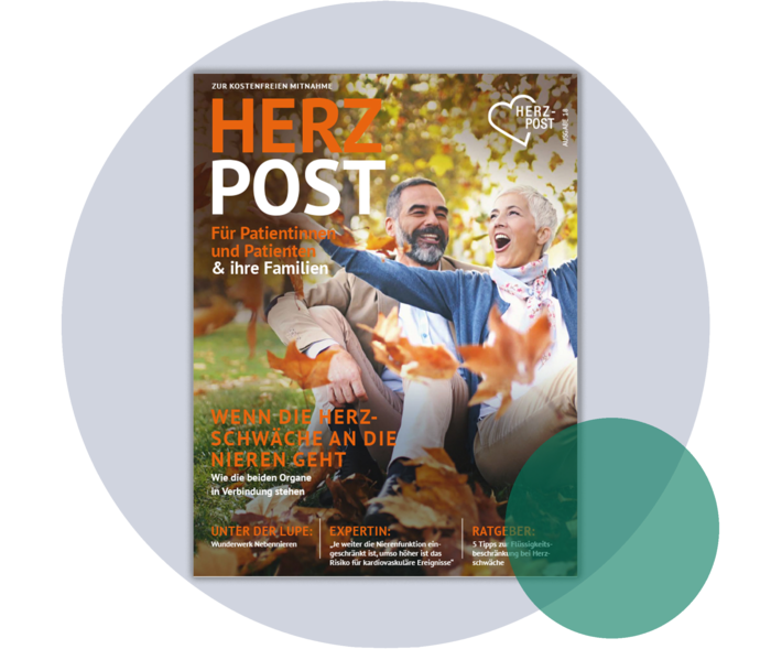 Diese Herzpost erläutert, was Herz und Niere verbindet. Cover der Herzpost 18