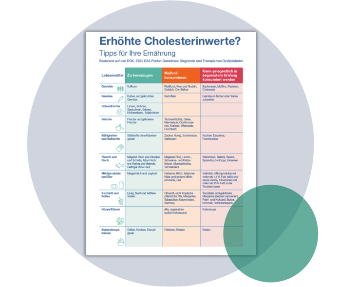 Titelseite einer Broschüre mit dem Titel „Erhöhte Cholesterinwerte?“ Tipps für Ihre Ernährung“.