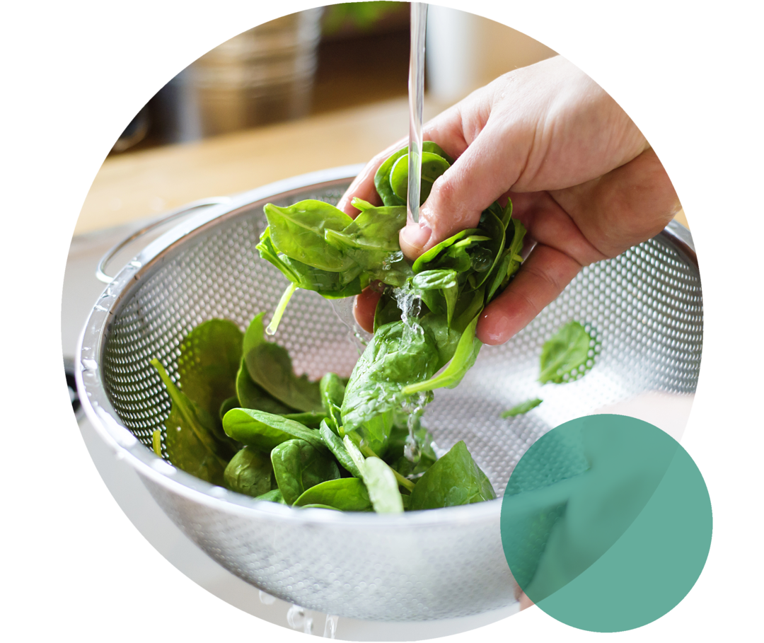 Hände waschen frischen Blattspinat in einem Küchensieb mit Wasser.